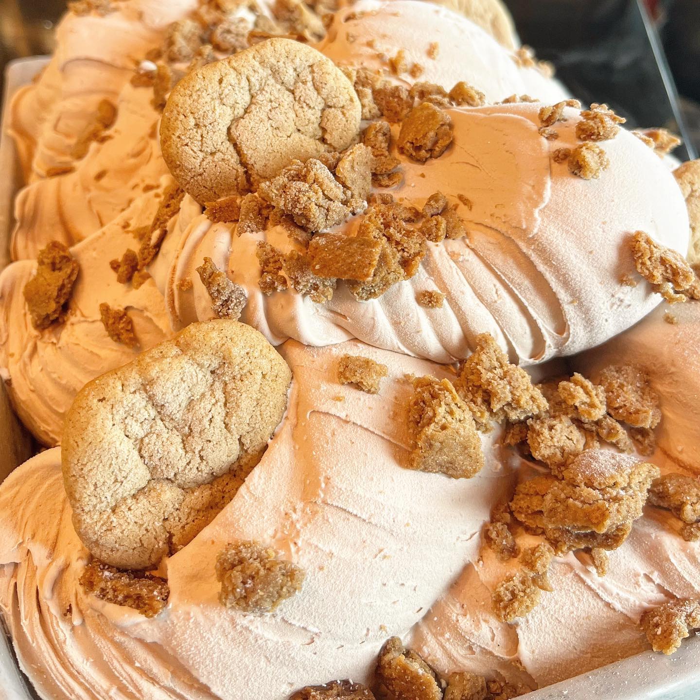 ALMOND SPECULOOS- Creamy salted almond gelato layered with house made speculoos cookies. The perfect crunchy, slightly chewy cookie, spiced with cloves, ginger, & cinnamon #flavorofthemonth #speculoos #cookiebutter #gelato